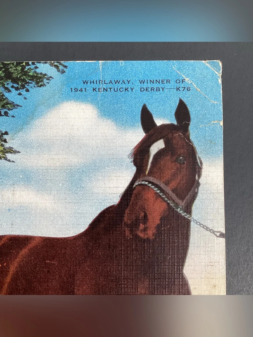 Kentucky Derby vintage postcard